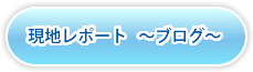 現地レポート   ～ブログ～